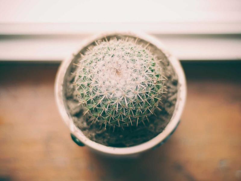 物流追踪<br>运单号批量查询与通知